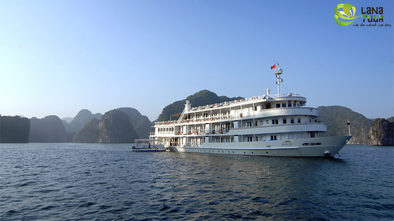 AUCO CRUISE